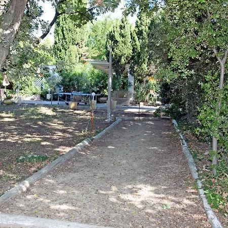 L'oliveraie