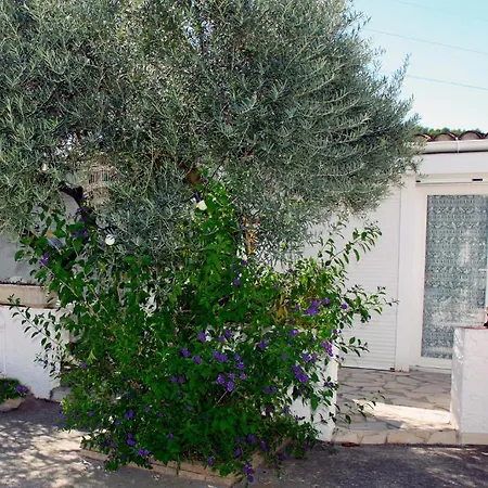 L'oliveraie Hotel